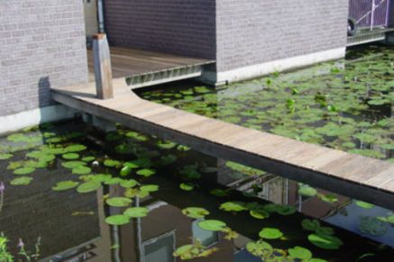 Specialistische schoonmaak