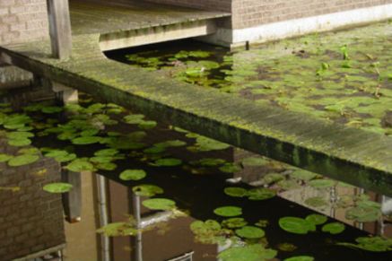 Schoonmaak beton